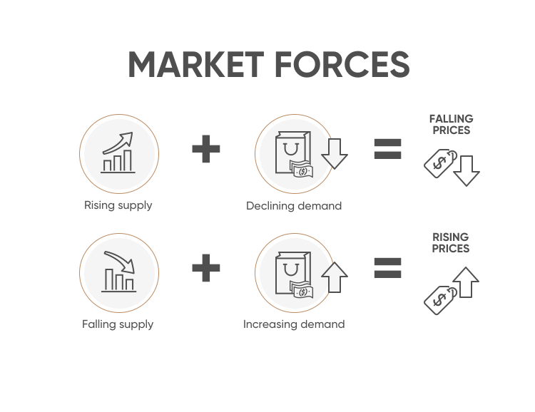market forces essay